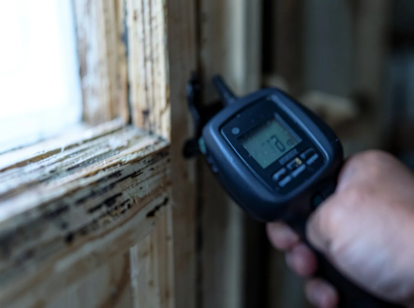 Commercial Water Damage Restoration in Woolrich, PA